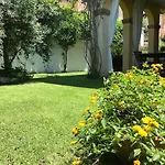 Junco فيلة