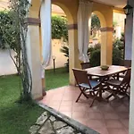 Junco فيلاّسيمِيوس