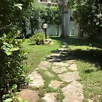فيلة Junco