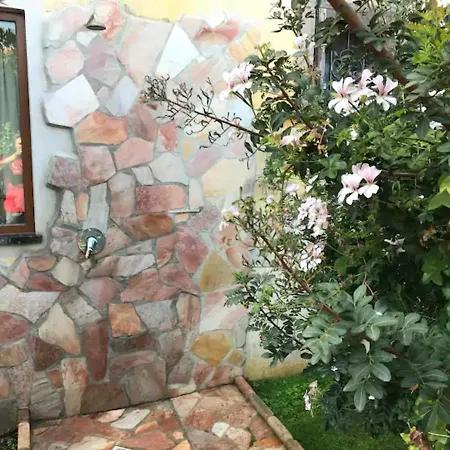 Junco Villa