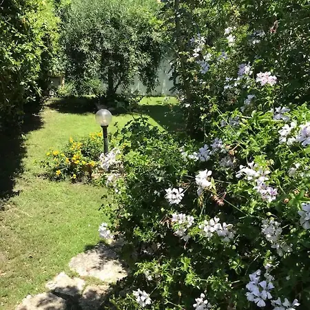 Junco Villa *