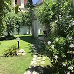 Junco Вилласимиус