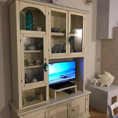 Junco וילסימיוס