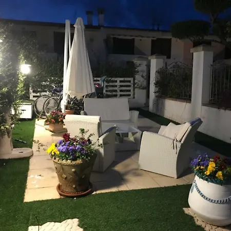 Junco * וילסימיוס