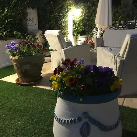 Junco וילה וילסימיוס