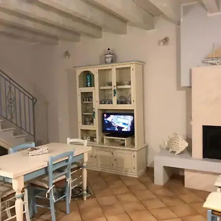 Junco וילסימיוס